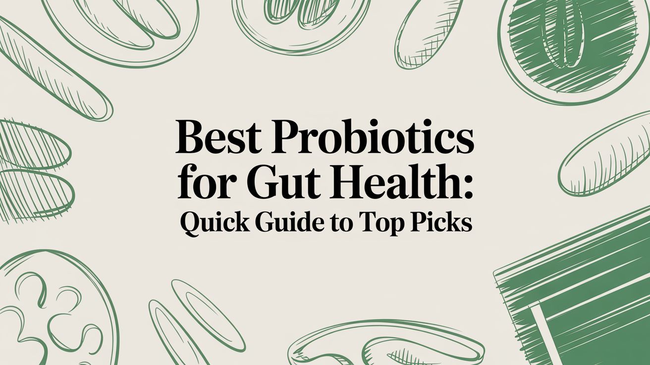 Best probiotics for gut health: Quick guide to top picks